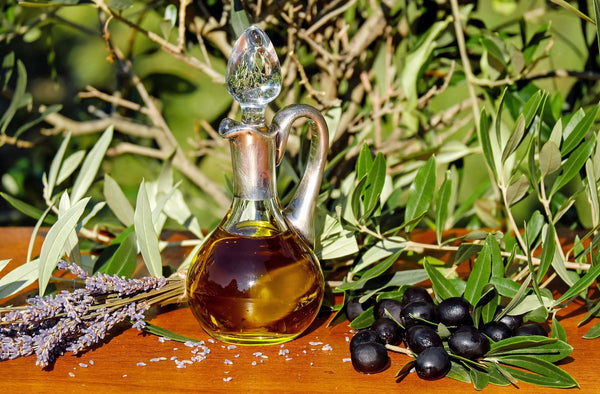Olive Trees: Everything You Ever Wanted to Know