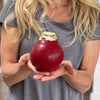 Cranberry Wax-Dipped Amaryllis Bulb with Sovereign Blooms