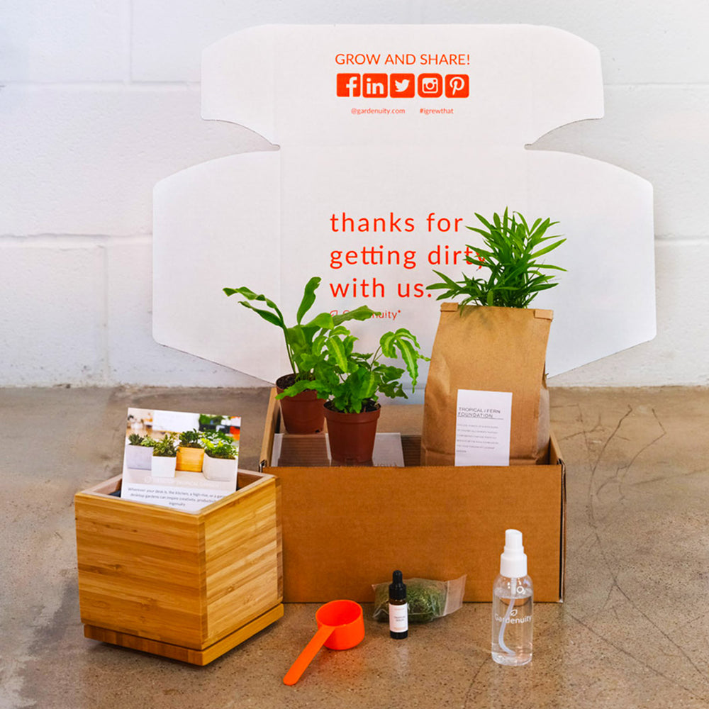 Gardenuity® Tropical Desktop Garden Kit in Bamboo Planter