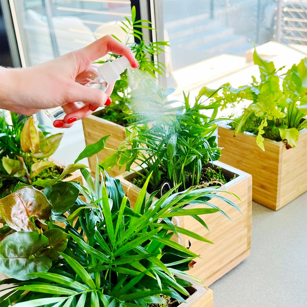 Gardenuity® Tropical Desktop Garden Kit in Bamboo Planter