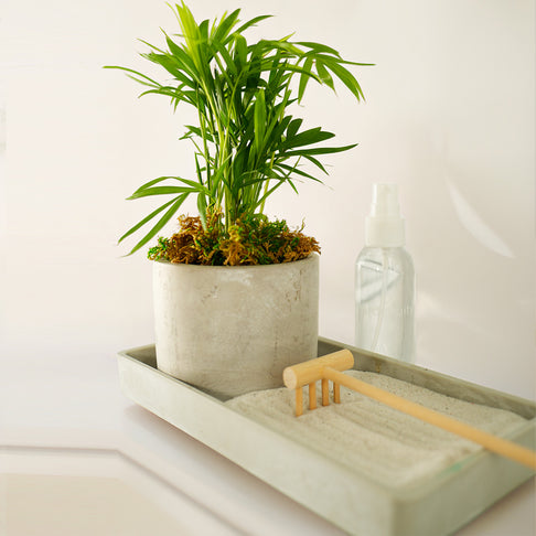Desktop Zen Garden Kit