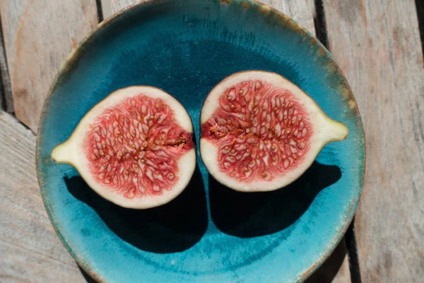 Fig Trees: Everything You Ever Wanted to Know