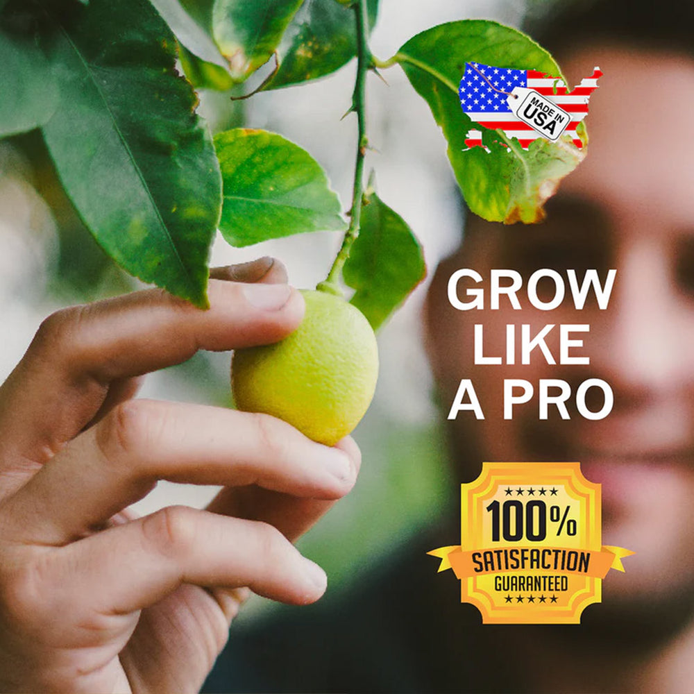 Growscripts House & Patio Plant Care Kit