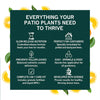 Growscripts House & Patio Plant Care Kit