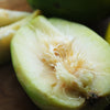 Yellow Hog Plum Tree