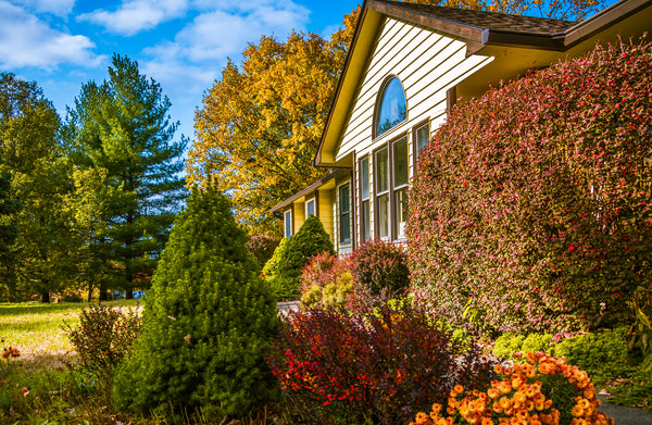 Ask a Master Gardener: Fall Garden Tips