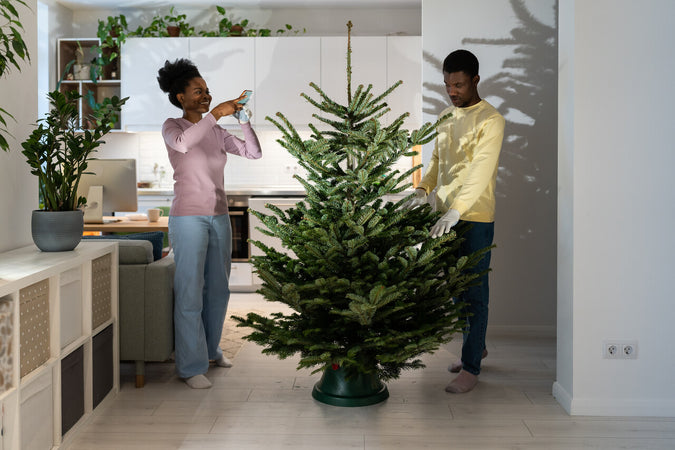 Get your Christmas tree delivered image