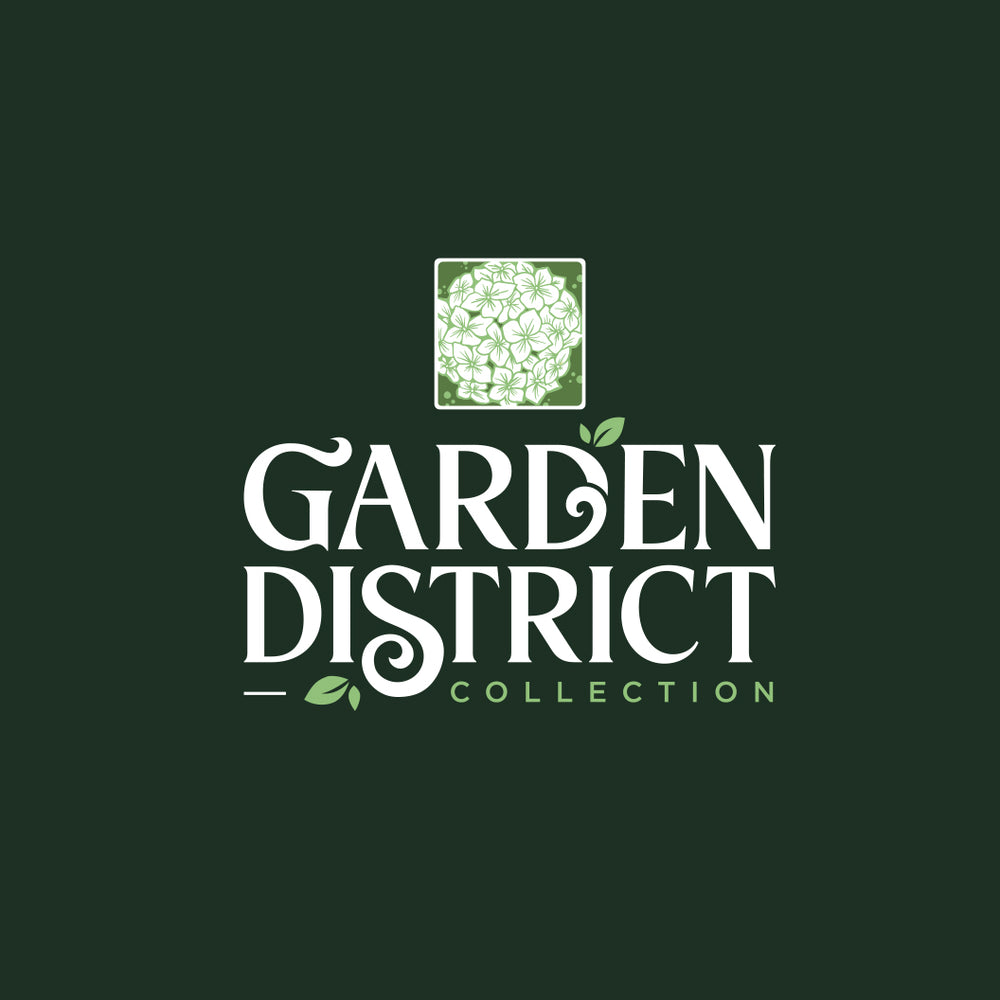 Garden District Blushing Blues™  Hydrangea Bush