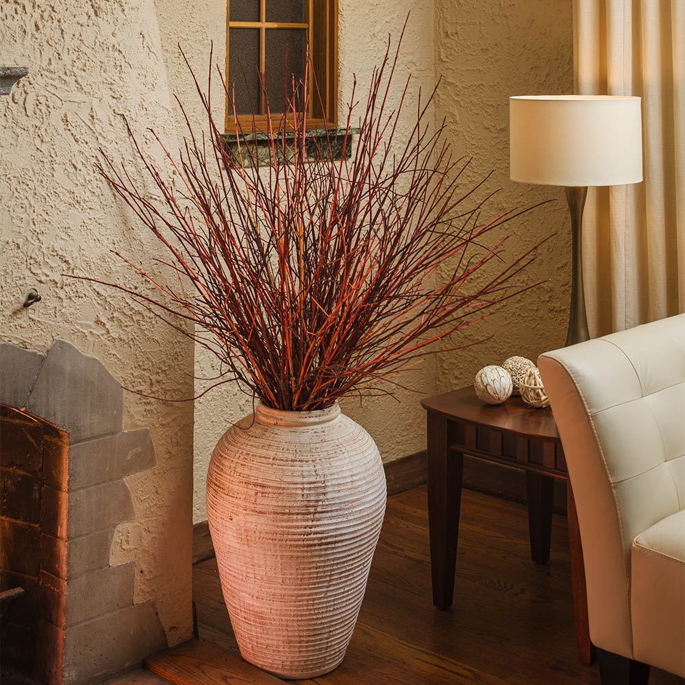 Proven Winners® Arctic Fire® Red Twig Dogwood Shrub