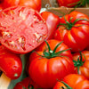 Beefsteak Tomato Plant - USDA Organic