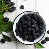 Black Satin Thornless Blackberry Bush