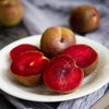 Elephant Heart Plum Tree