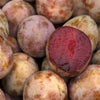 Elephant Heart Plum Tree