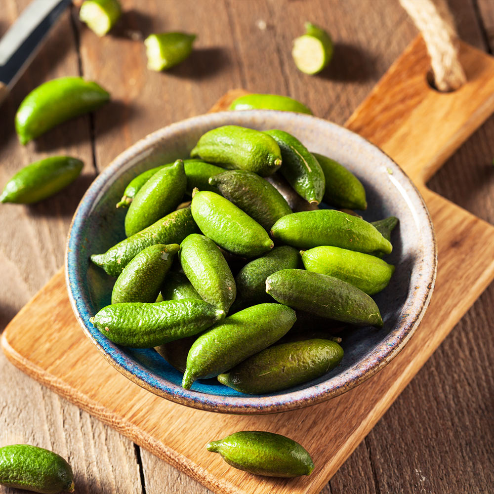 Australian Finger Lime Tree