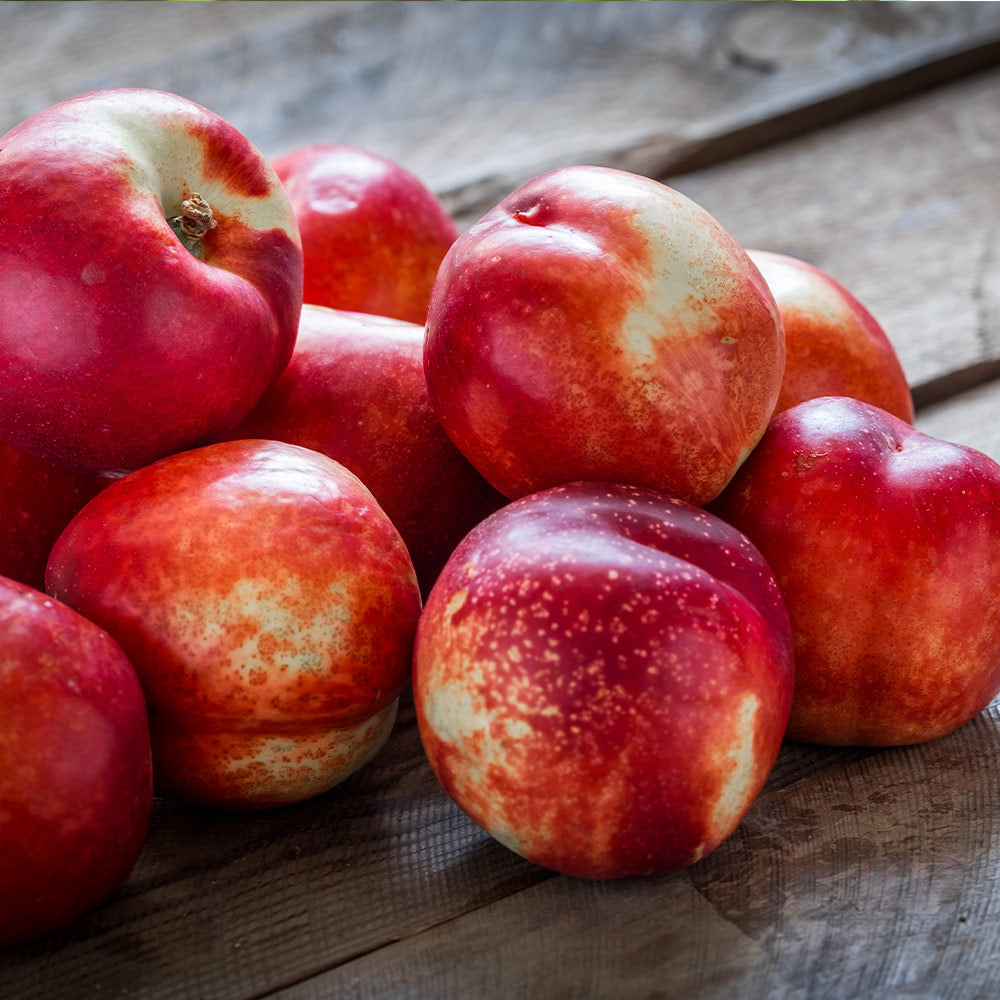 Goldmine Nectarine Tree California