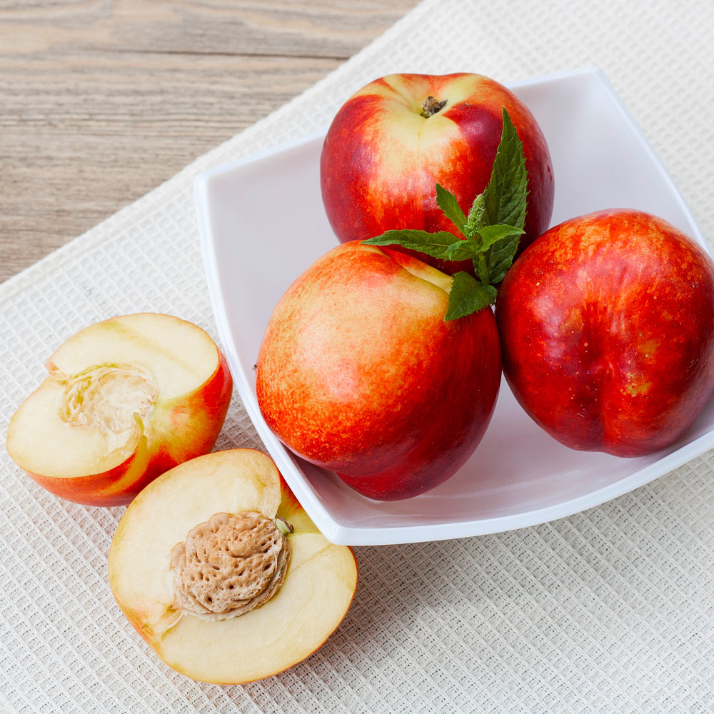 Goldmine Nectarine Tree California