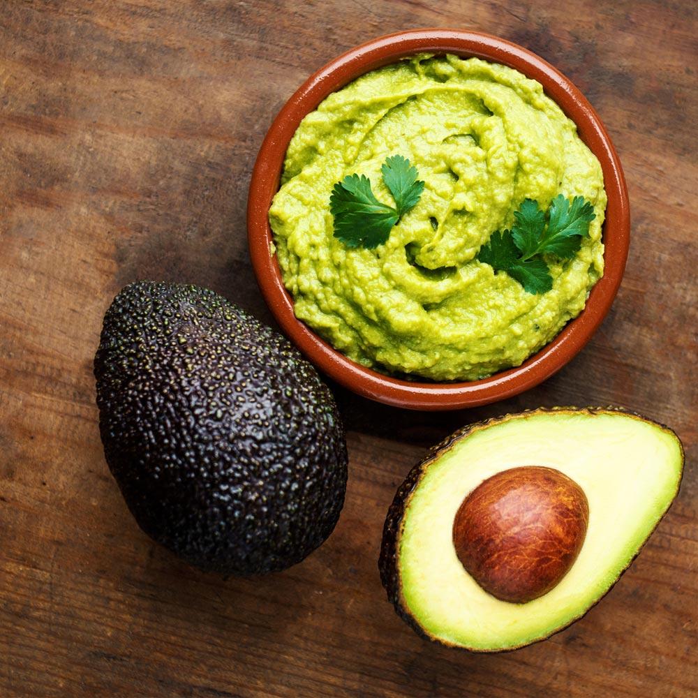 Hass Avocado Tree Arizona
