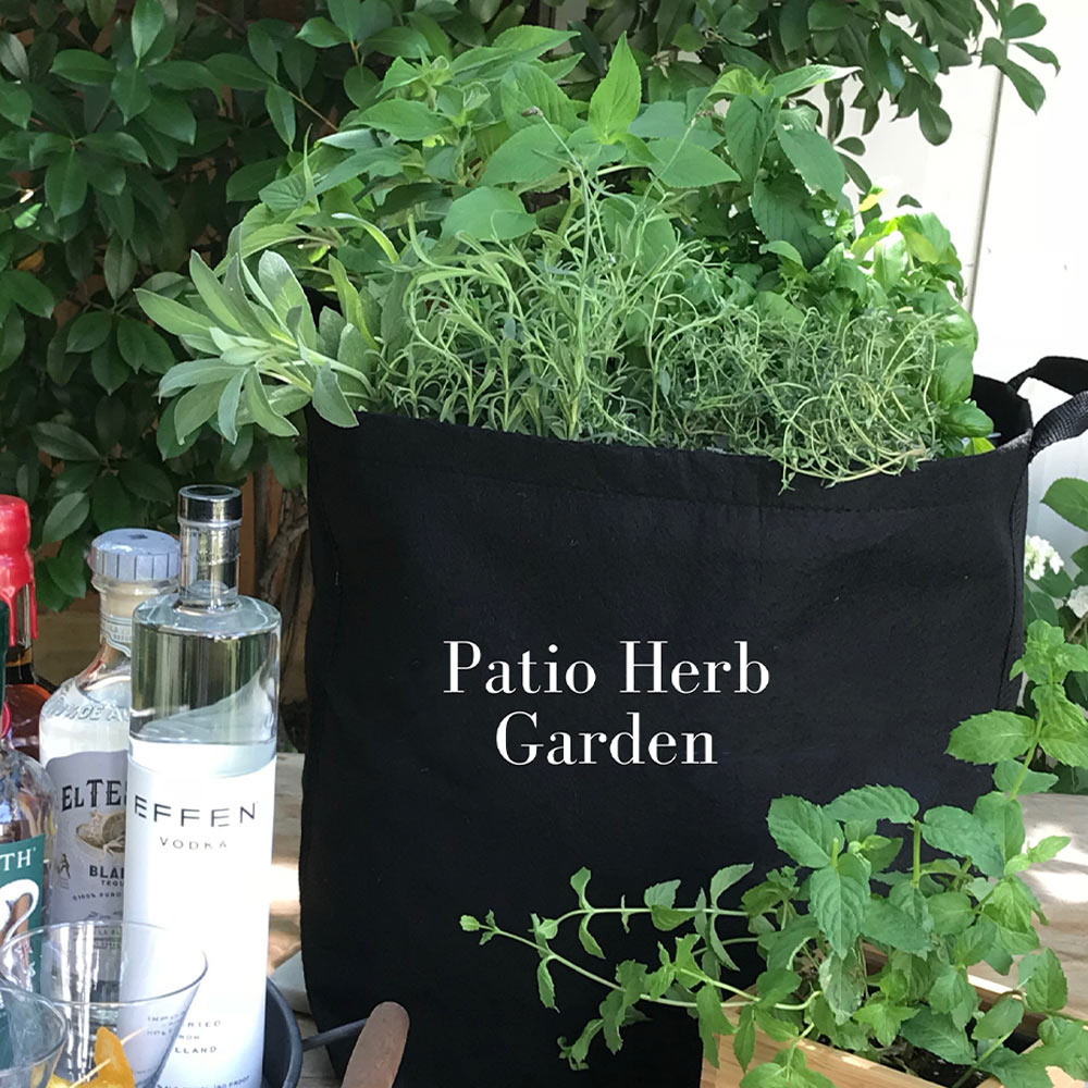 Gardenuity® Patio Herb Garden