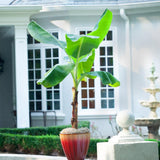 block-image