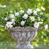 Southern Living® Jubilation Gardenia Shrub