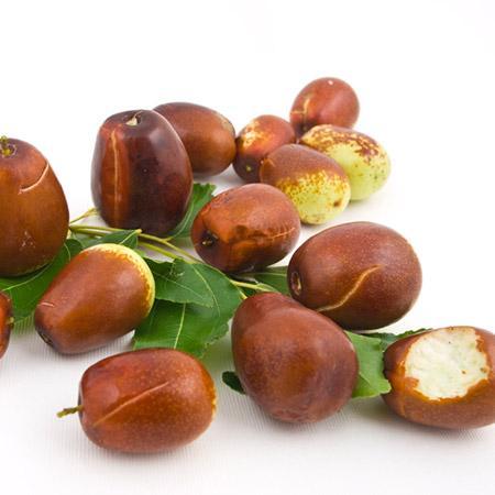 Jujube Tree