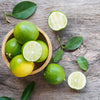 Key Lime Bush