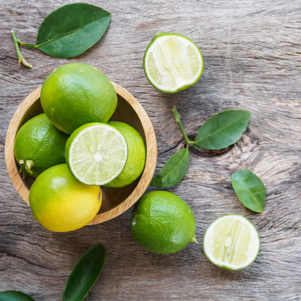 Key Lime Bush
