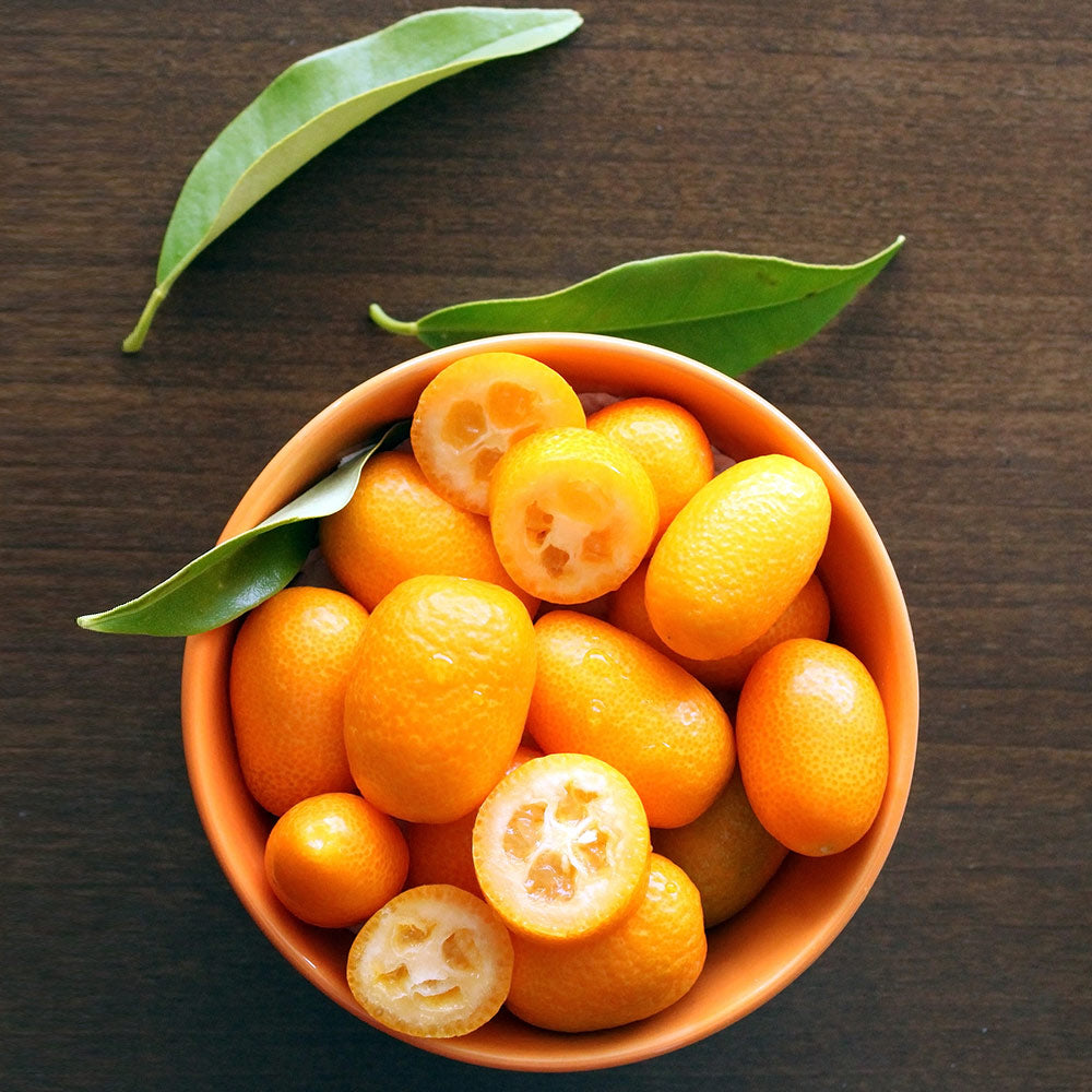 Nagami Kumquat Tree