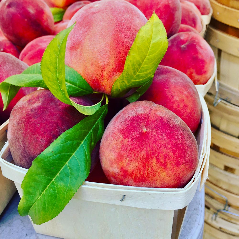 O'Henry Peach Tree California