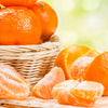 Owari Satsuma Mandarin Tree