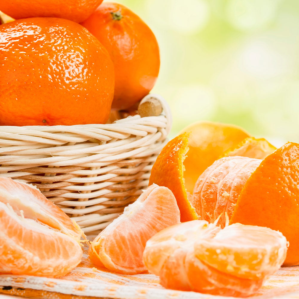 Owari Satsuma Mandarin Tree
