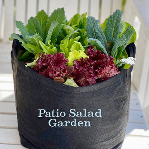 Patio Salad Garden product image