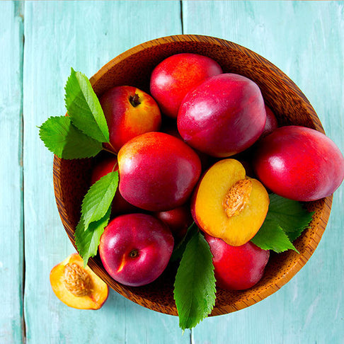 Red Gold Nectarine Tree