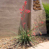 block-image