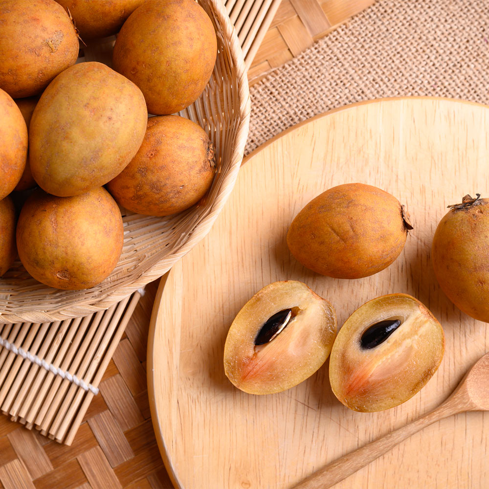 Sapodilla Tree