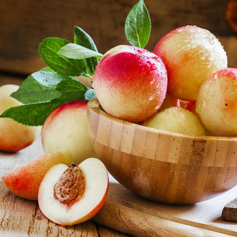 Snow Queen Nectarine Tree