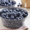 Sweetheart Blueberry Bush - USDA Organic