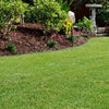 TurboTurf™ Tall Fescue Grass Seed