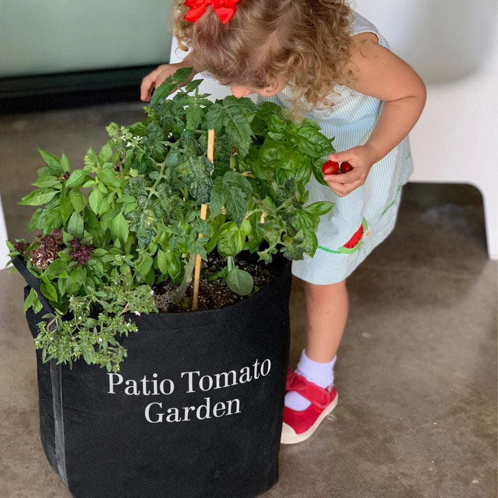 Patio Tomato Garden