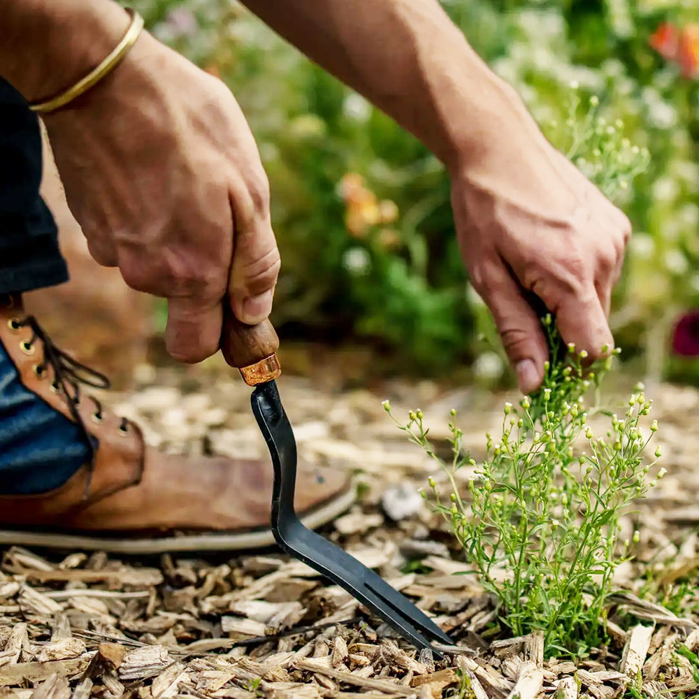 Barebones Weeding Fork